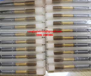 SƠ LƯỢC VỀ TARO NÉN