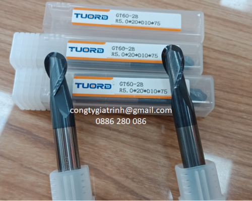 Dao phay GT60 D10R5X20X75X2T