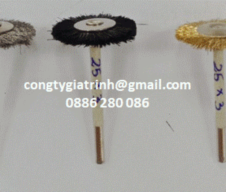 CHỔI CƯỚC T 25X3