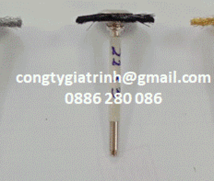 CHỔI CƯỚC T 22X3